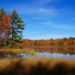 Kayaking in New England: The 6 Best Lakes for Fall Foliage Adventures